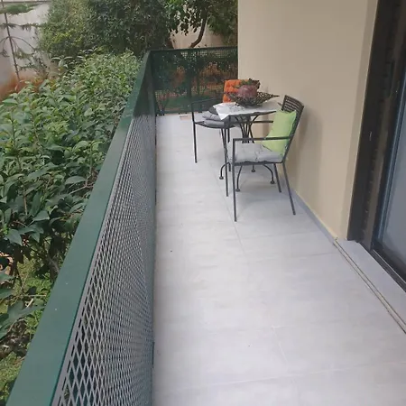 Cozy Renovated Apartment-3